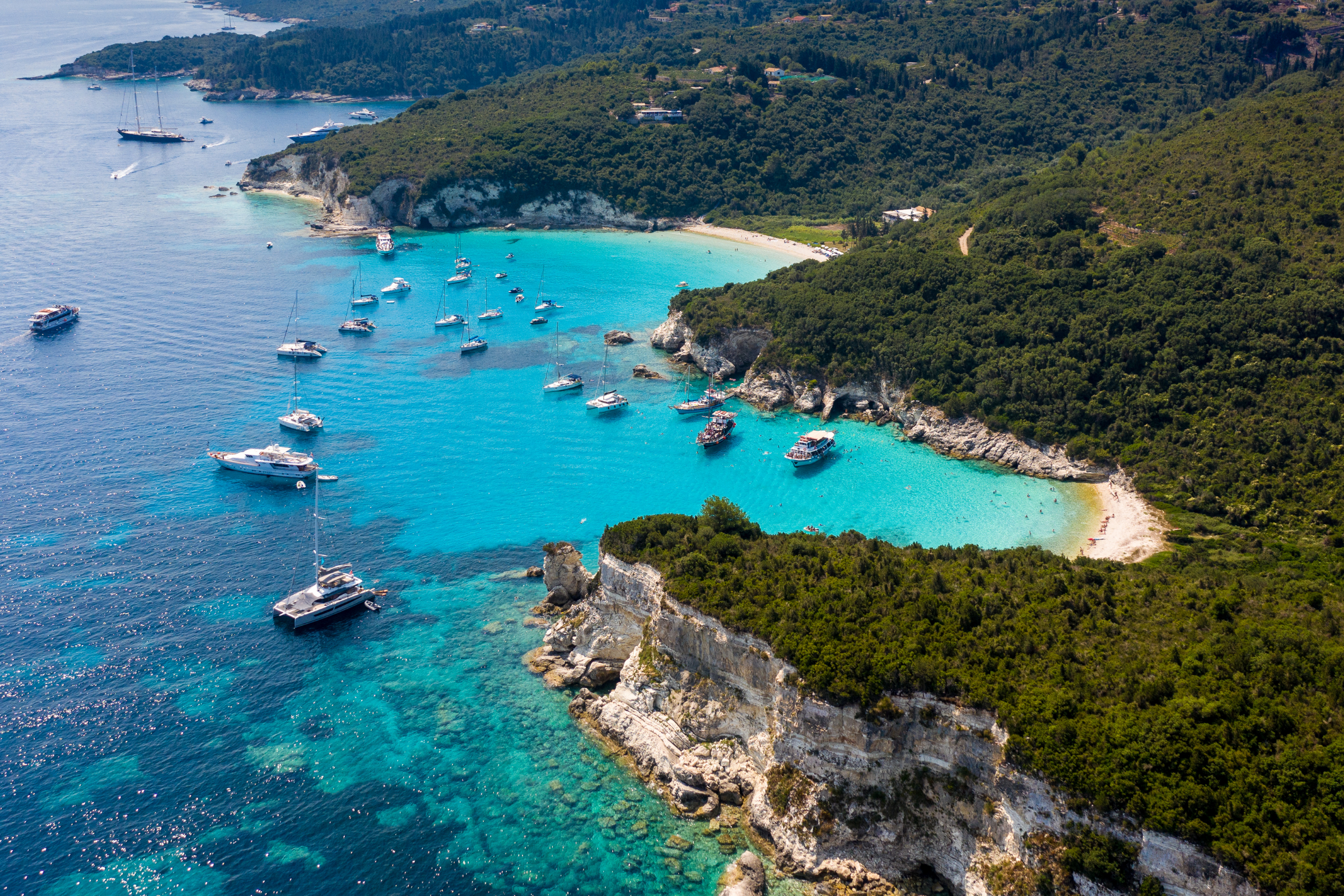 antipaxos (3).webp